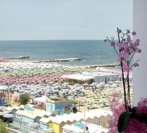 Hotel Alba ميسانو ادرياتيكو المظهر الخارجي الصورة
